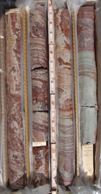 Continuous Core Samples From Elk Neck Corehole