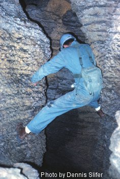  Just above a stream passage in Devil's Hole Cave (photo by Dennis Slifer)