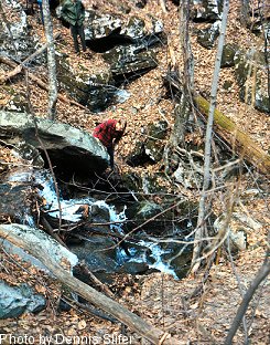 Bob Reese examines the waterfall at the entrance of Dead Man Cave (photo by Dennis Slifer)