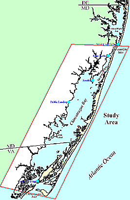 Study Area Index Map