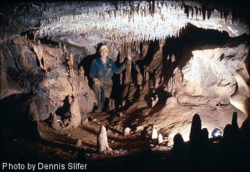 Dennis Slifer examines speleothems in Hogmaw Cave (photo by Dennis Slifer)