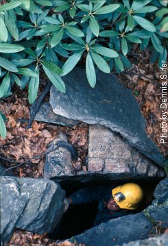 Rocky Gap Cave (photo by Dennis Slifer)